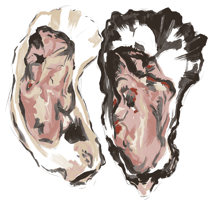 Painted illustration of two open oysters.